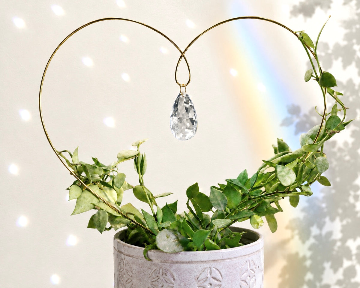 Heart Sun Catcher Plant Trellis ✨